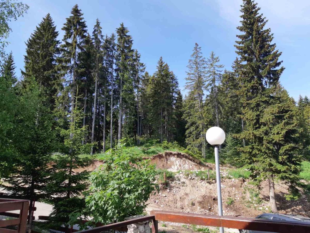 Apartments Sipcic Zabljak  Exterior photo