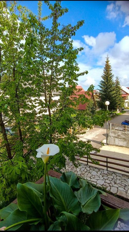 Apartments Sipcic Zabljak  Exterior photo